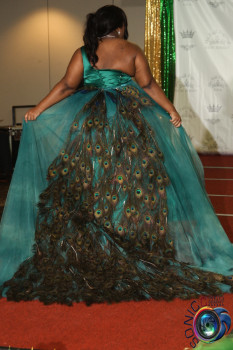 Custom Peacock Gown