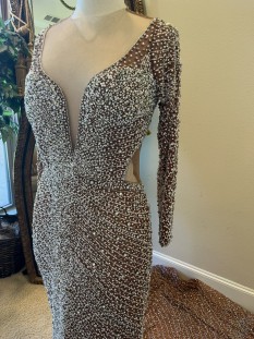 Darius Cordell Long Sleeve Pageant Gown with Crystal Beading