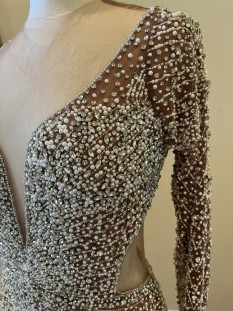 Darius Cordell Long Sleeve Pageant Gown with Crystal Beading