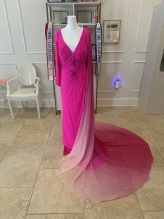 Pink Gown with Rhinestones by Johnathan Kayne